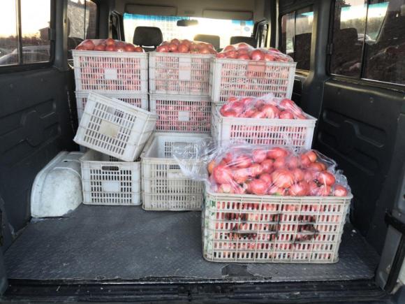 [青岛·鲁U] 二手依维柯都灵2009款 2.5T-A32基本型