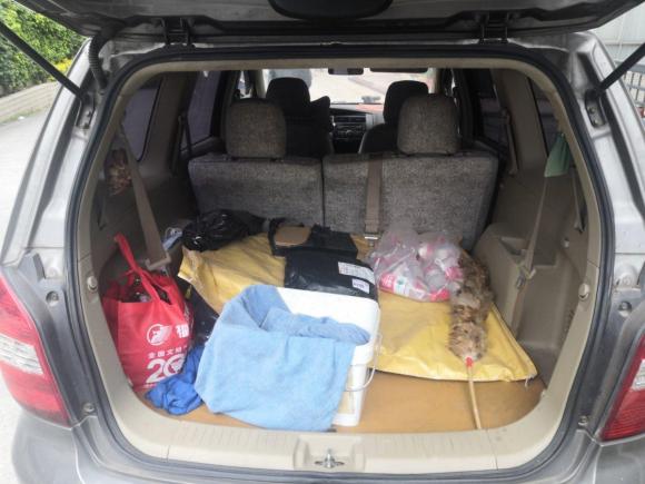 [广州·粤A] 二手日产骏逸2008款 1.8L 手动舒适型