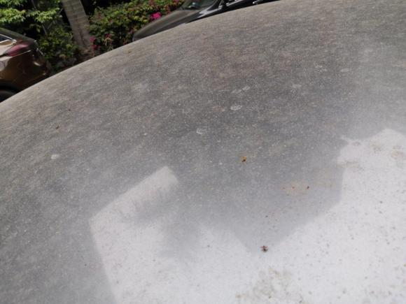 [广州·粤B] 二手思铭思铭2012款 1.8L 自动