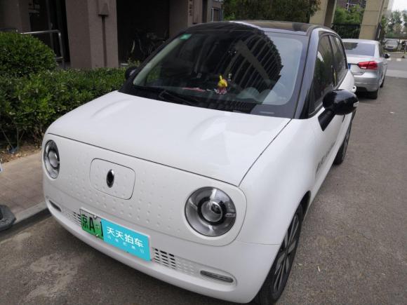 [北京·京A] 二手欧拉欧拉R12019款 351km 灵智版