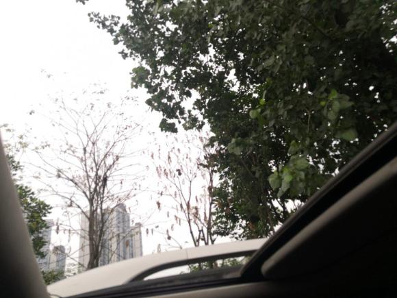 [成都·川A] 二手欧宝安德拉2011款 2.4 豪华两驱版