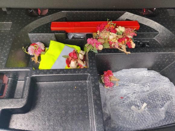 [成都·川A] 二手欧拉欧拉好猫2021款 500km长续航 波塞冬版 三元锂