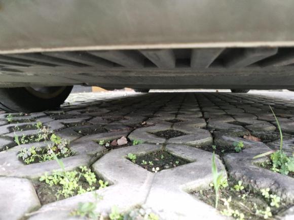 [苏州·苏E] 二手奥迪奥迪S52010款 S5 3.0T Sportback