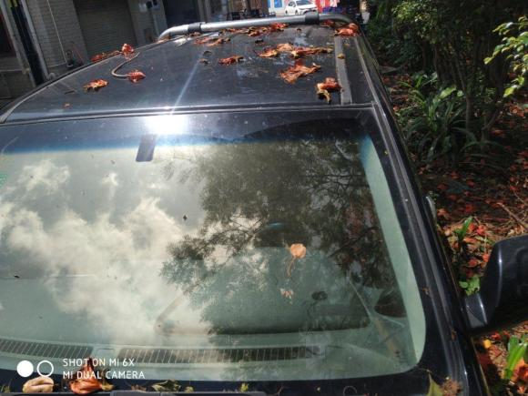 [深圳·粤B] 二手长城风骏62014款 2.0T两驱精英型4D20B