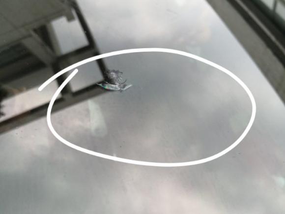 [杭州·浙A] 二手大众 迈特威 2008款 3.2L