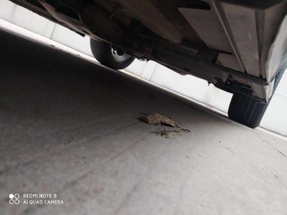 [佛山·粤X] 二手陆风陆风X72015款 2.0T 全景尊贵版