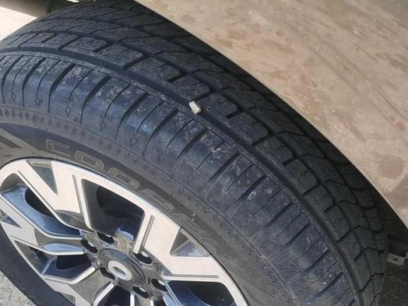 [芜湖·皖G] 二手长城炮2019款 2.0T自动汽油四驱舒适版GW4C20B