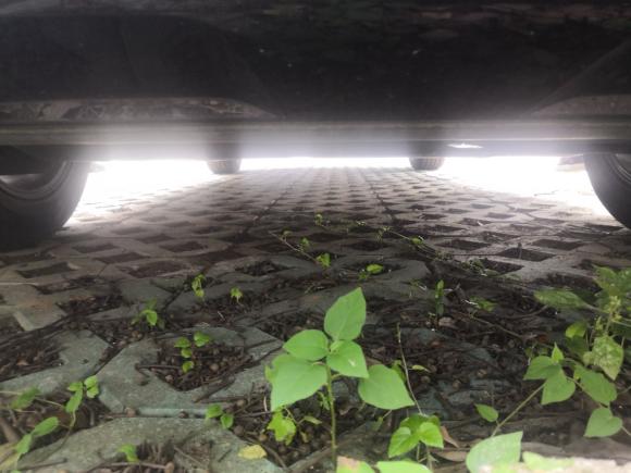 [南昌·赣A] 二手大众途观L新能源2019款 430PHEV 混动豪华版