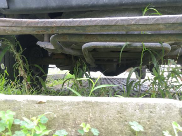 [苏州·苏E] 二手依维柯都灵2009款 2.5T-A32基本型