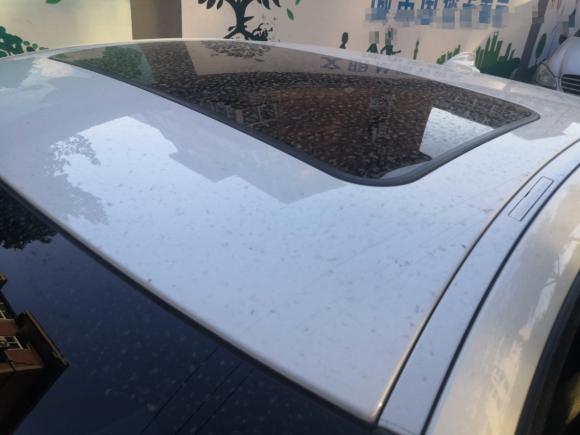 [济南·鲁A] 二手宝马宝马4系2017款 425i M运动套装