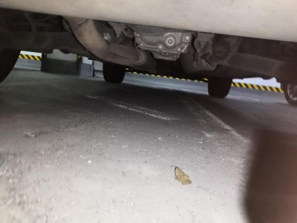 [宁波·浙B] 二手雷诺科雷傲2010款 2.5L 四驱豪华型