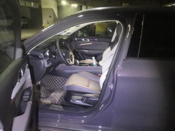 [芜湖·皖B] 二手领克领克022021款 1.5T DCT两驱耀 冠军版