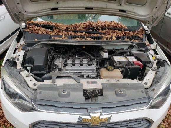 [深圳·粤L] 二手雪佛兰乐风RV2016款 1.5L 自动畅行版