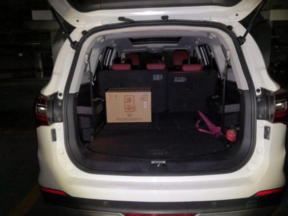 [成都·川A] 二手东风风行风行T5L2020款 1.5T 自动豪华型 7座 国VI