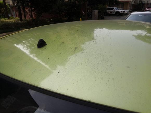 [无锡·云A] 二手长安奔奔2014款 1.4L 手动尊贵型