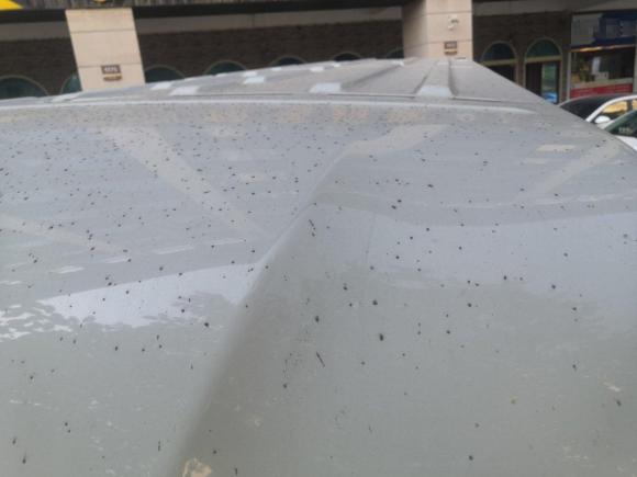 [义乌·浙G] 二手依维柯得意2017款 2.5T A35客车5-7座47Z5