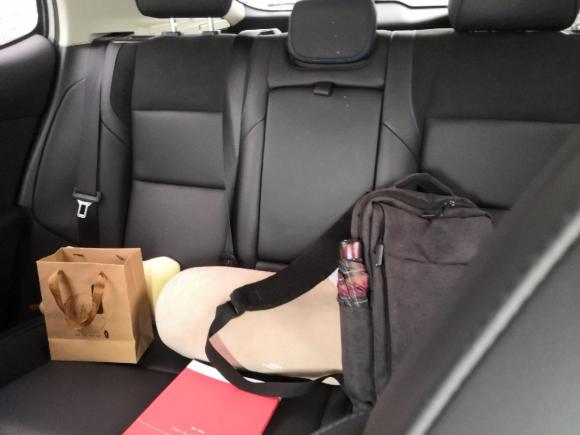 [宁波·浙B] 二手领克领克01新能源2018款 1.5T PHEV 劲Pro 