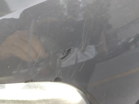 [温州·浙C] 二手领克领克022018款 1.5T DCT两驱耀Pro版 国V