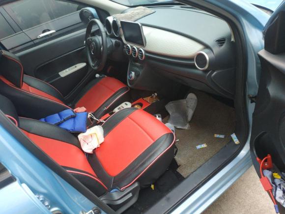 [义乌·浙G] 二手欧拉欧拉R12019款 351km 灵趣版