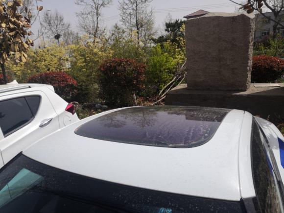 [青岛·鲁B] 二手零跑汽车零跑S012020款 460 Pro