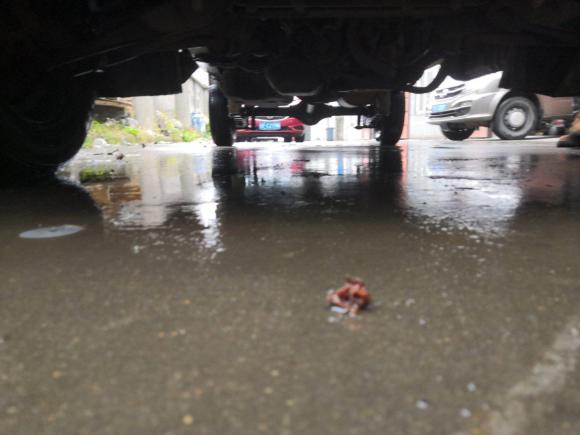 [嘉兴·浙F] 二手五菱汽车五菱荣光小卡2012款 1.2L单排基本型LAQ