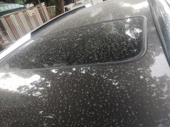 [深圳·粤B] 二手别克昂科雷2010款 3.6L 旗舰版