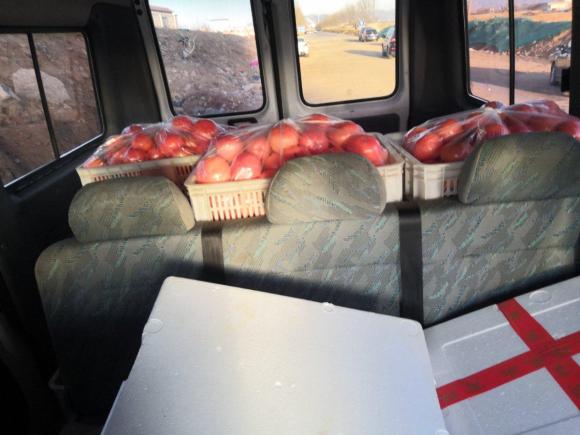 [青岛·鲁U] 二手依维柯都灵2009款 2.5T-A32基本型