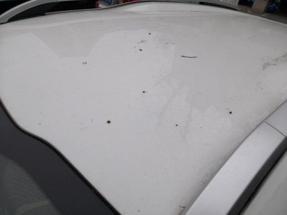 [湖州·浙E] 二手标致标致20082014款 1.6L 自动潮流版