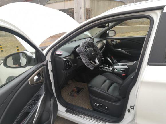 [北京·京N] 二手海马海马S52019款 230T 自动智联旗舰型