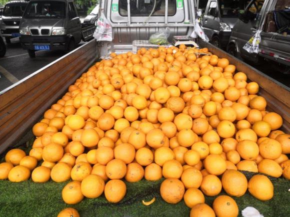 [成都·川A] 二手长安轻型车长安星卡2013款 1.2L基本型D201