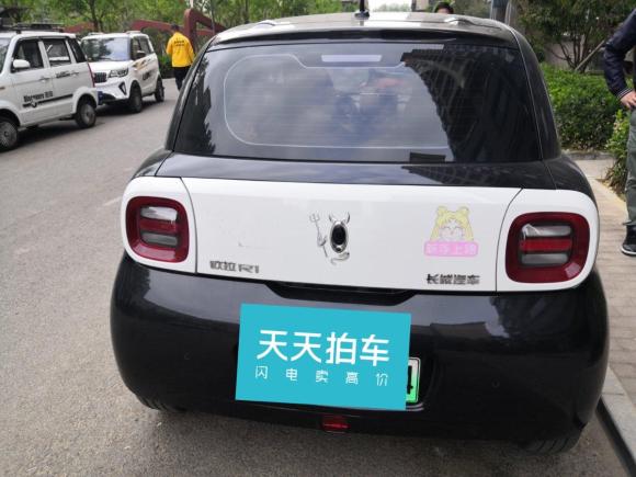 [北京·京A] 二手欧拉欧拉R12019款 351km 灵智版