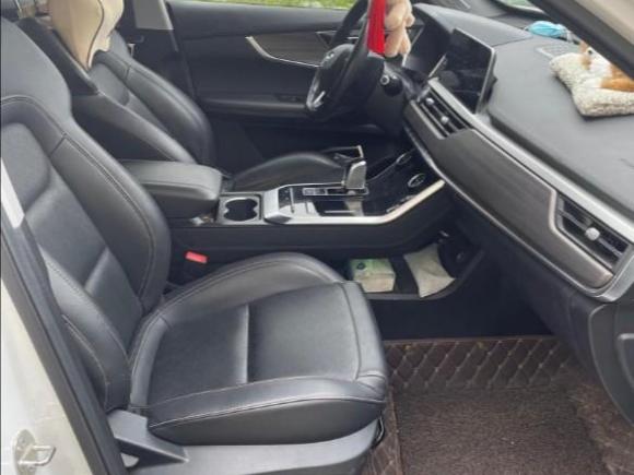 [金华·浙G] 二手奇瑞瑞虎82019款 1.6TGDI 自动豪华型