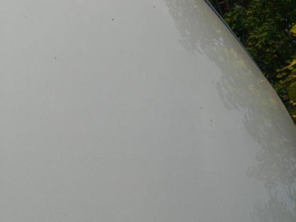 [南昌·赣A] 二手丰田逸致2011款 180E CVT精英版