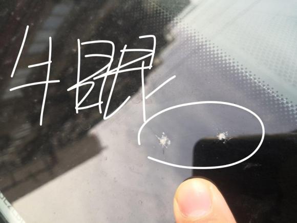 [上海·沪A] 二手奥迪奥迪e-tron2019款 55 quattro 时尚型