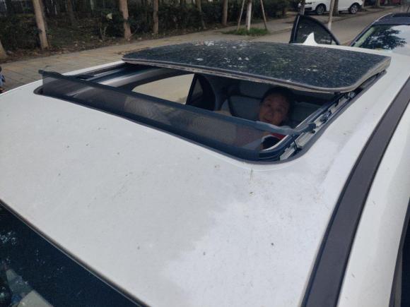 [成都·川A] 二手欧拉欧拉好猫2021款 500km长续航 波塞冬版 三元锂