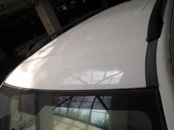 [济南·鲁A] 二手陆风陆风X82012款 探索版 2.0T 柴油4X4豪华型