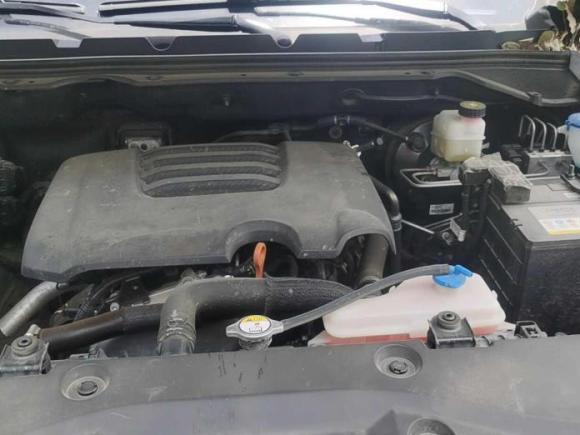 [芜湖·皖G] 二手长城炮2019款 2.0T自动汽油四驱舒适版GW4C20B