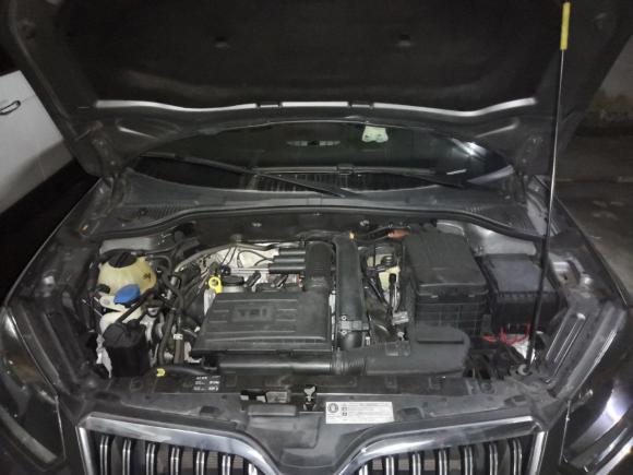 [广州·粤A] 二手斯柯达Yeti2014款 1.4TSI DSG极地版