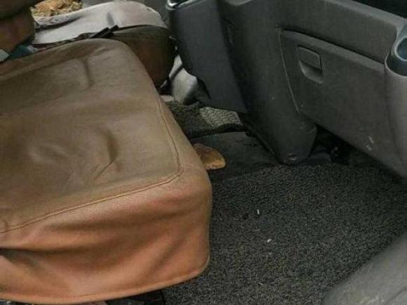 [南昌·赣A] 二手福田图雅诺2017款 2.5T E 商运版长轴4J25TC3