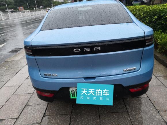 [青岛·鲁B] 二手欧拉欧拉iQ2018款 智联型