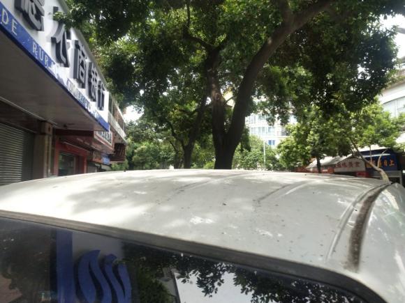 [佛山·粤A] 二手金杯金杯快运2017年    2.0L     手动