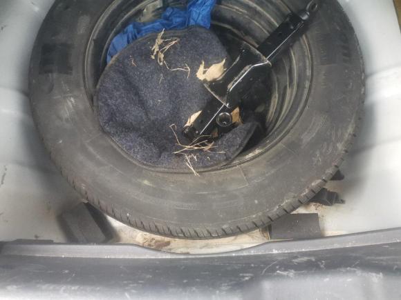 [佛山·粤E] 二手长安逸动XT2013款 1.6L 自动俊酷型 国V