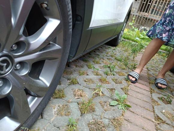 [上海·豫H] 二手马自达马自达CX-302020款 2.0L 自动雅悦型