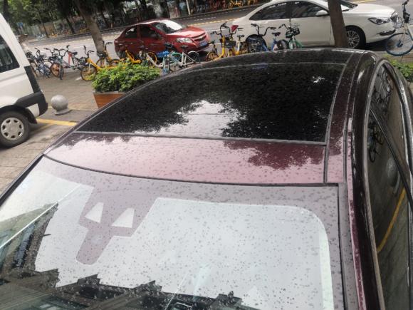 [成都·川A] 二手捷豹捷豹XFL2017款 XFL 2.0T 200PS 精英版