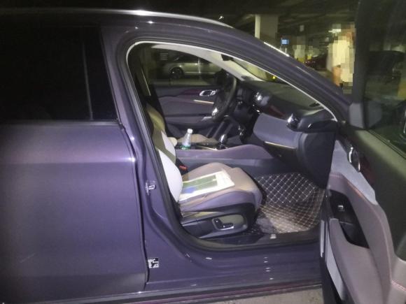 [芜湖·皖B] 二手领克领克022021款 1.5T DCT两驱耀 冠军版