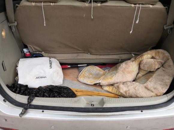 [青岛·鲁B] 二手比亚迪比亚迪M62013款 2.0L 手动舒适型