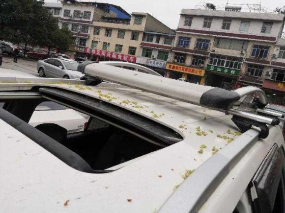 [成都·川A] 二手福迪揽福2017款 1.9T 柴油手动两驱旗舰版 7座