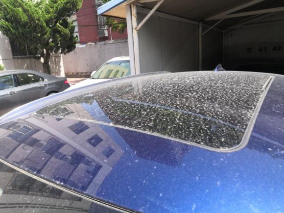 [北京·京N] 二手宝马宝马2系旅行车2016款 220i 豪华设计套装