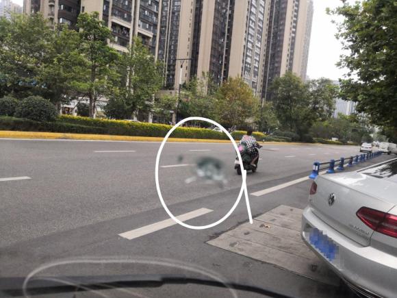 [成都·川A] 二手福田福田风景2014款 2.5T快运经典型长轴版高顶4J25TC