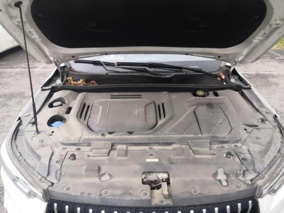 [南京·苏A] 二手猎豹汽车Mattu2018款 1.6T GDI DCT尊贵型